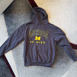 Michigan Hoodie